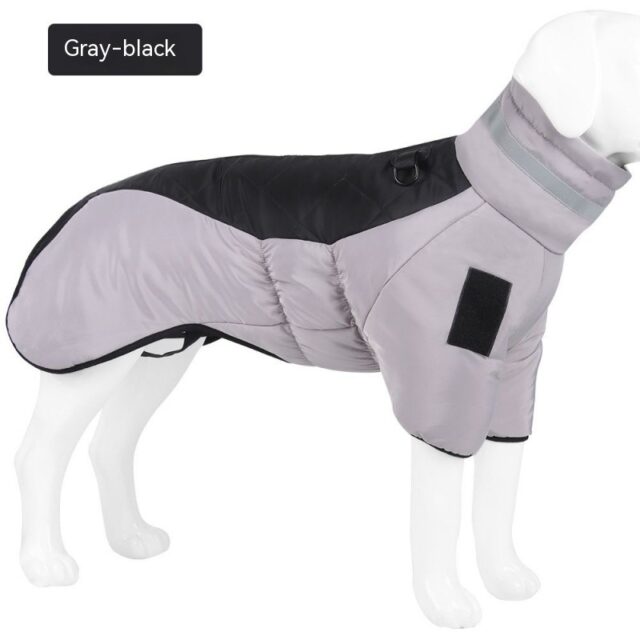 dog raincoat
