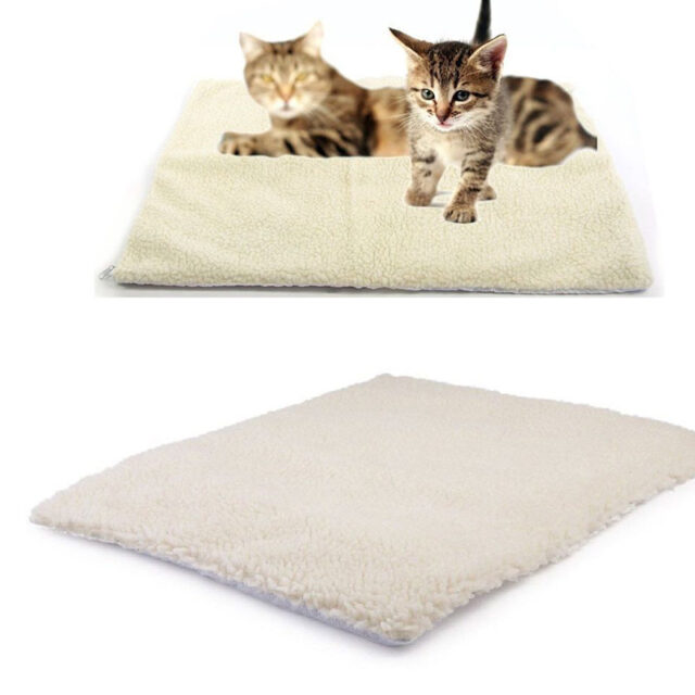 cat heating pad